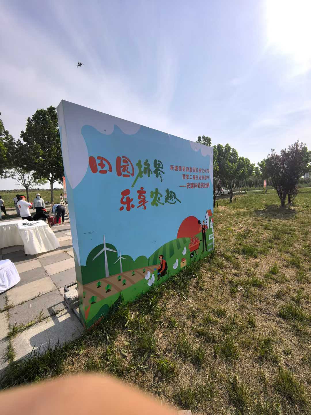 17西红柿文化节2.jpg