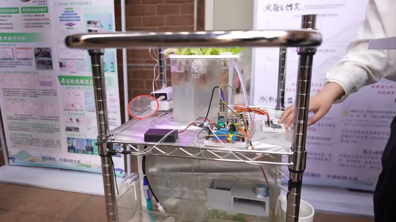 参赛作品展示