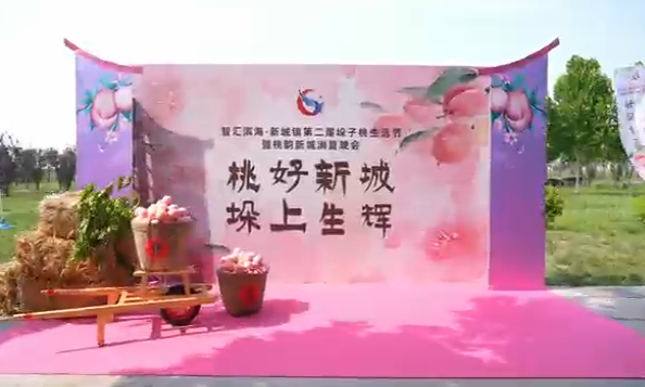 桃子生活节&消夏晚会：照片拍摄+视频拍摄